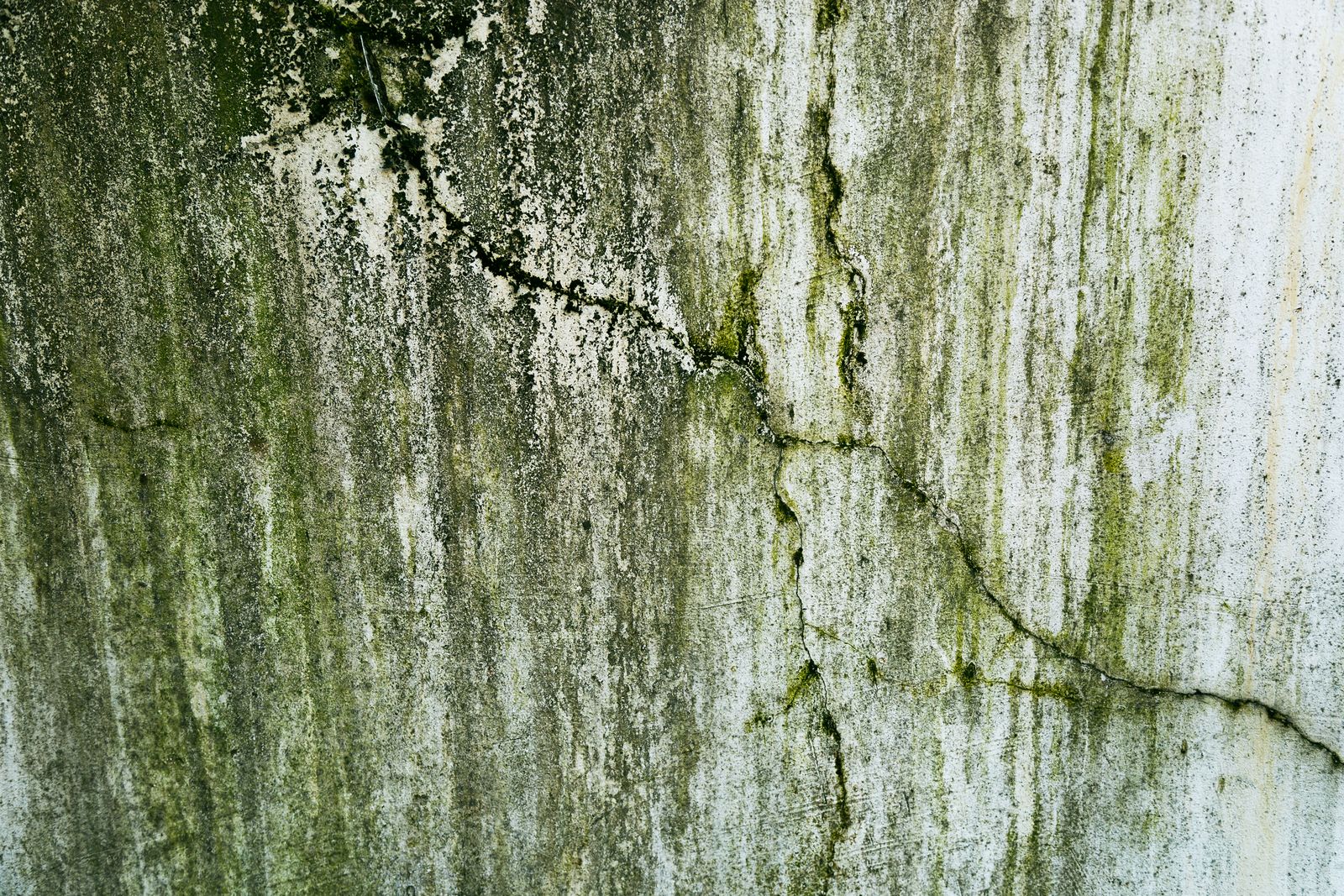 Common problems found in building surveys: cracked and damp stained render on an external wall Common problems found in building surveys: cracked and damp stained render on an external wall