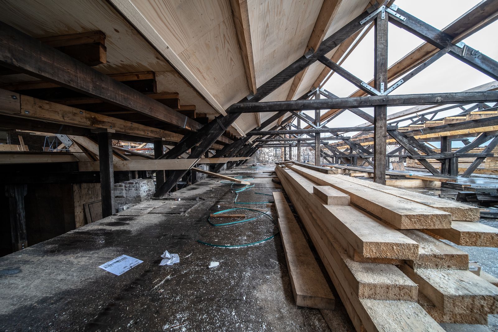 Common problems found in building surveys: roof timbers inside a loft space Common problems found in building surveys: roof timbers inside a loft space